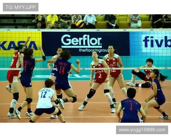 杭州排球队在世界锦标赛中的灵活性展现与战术分析