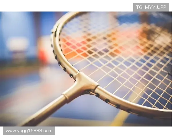 独家解析：杭州羽毛球队灵活性对比与训练策略的深度探讨