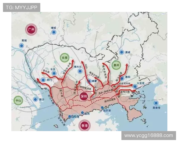 深圳羽毛球队的战术创新与转换体系解析