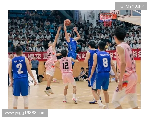 篮球意识排行榜揭晓杭州篮球队荣登榜首引发热议