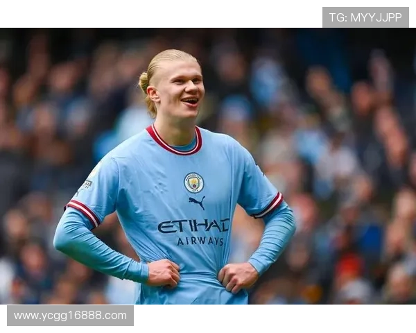 足球明星贴纸莱万的魅力与成就全解析让你更了解这位足坛巨星