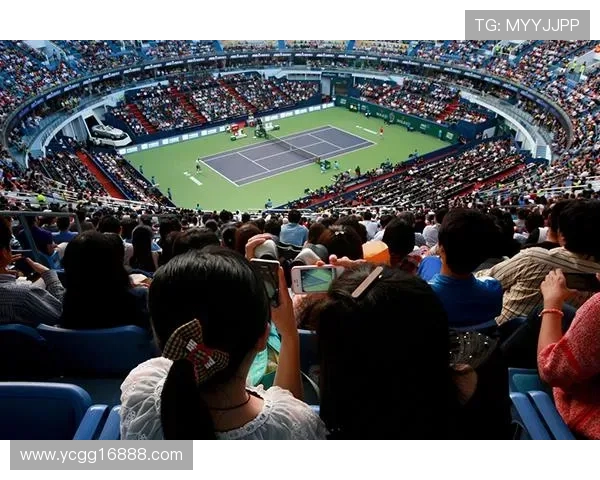 深入探讨上海网球队的实力表现与未来发展潜力分析