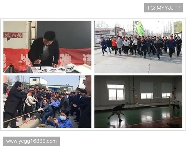 羽毛球传奇陈磊的职业生涯回顾与未来展望对话