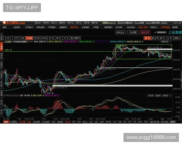 深圳乒乓球队与北京乒乓球队赛后复盘分析比赛节奏与战术对比
